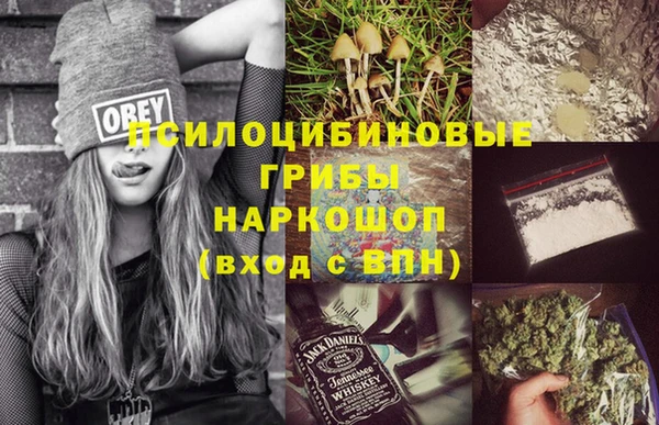 mdpv Козловка