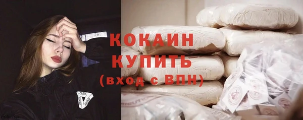 mdpv Козловка