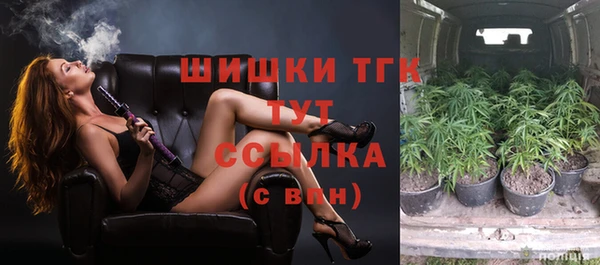 mdpv Козловка